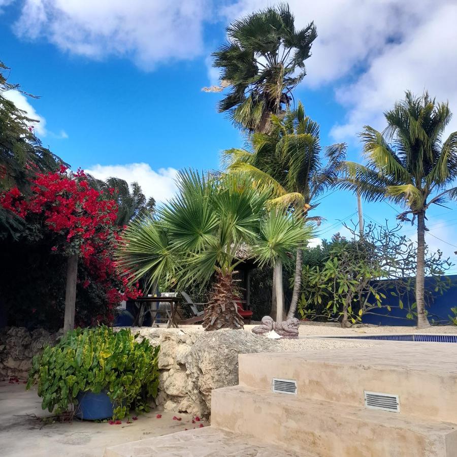 Caribbean Chillout Apartments Playa Buitenkant foto