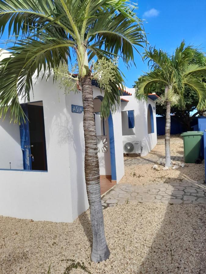 Caribbean Chillout Apartments Playa Buitenkant foto