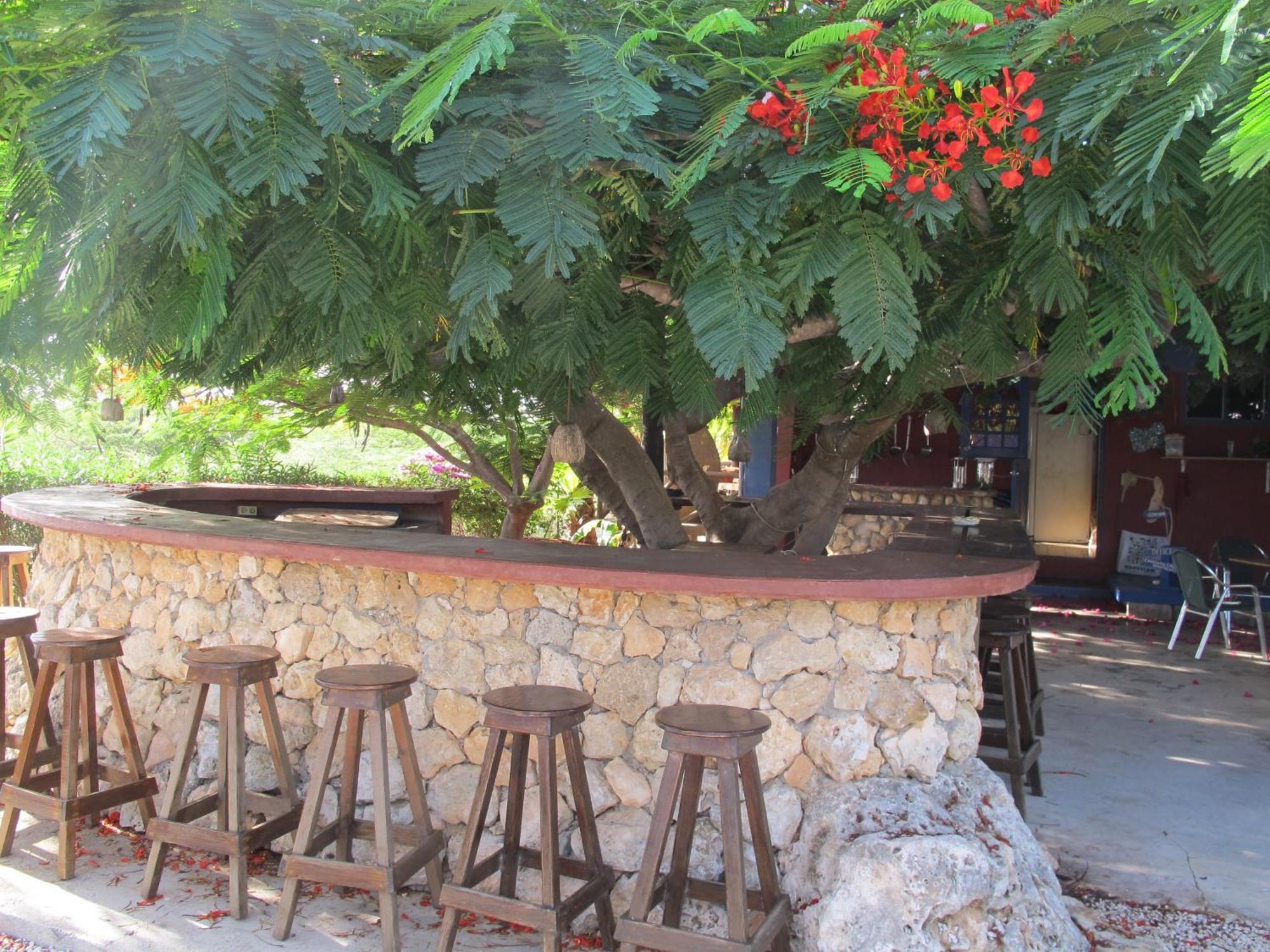 Caribbean Chillout Apartments Playa Buitenkant foto