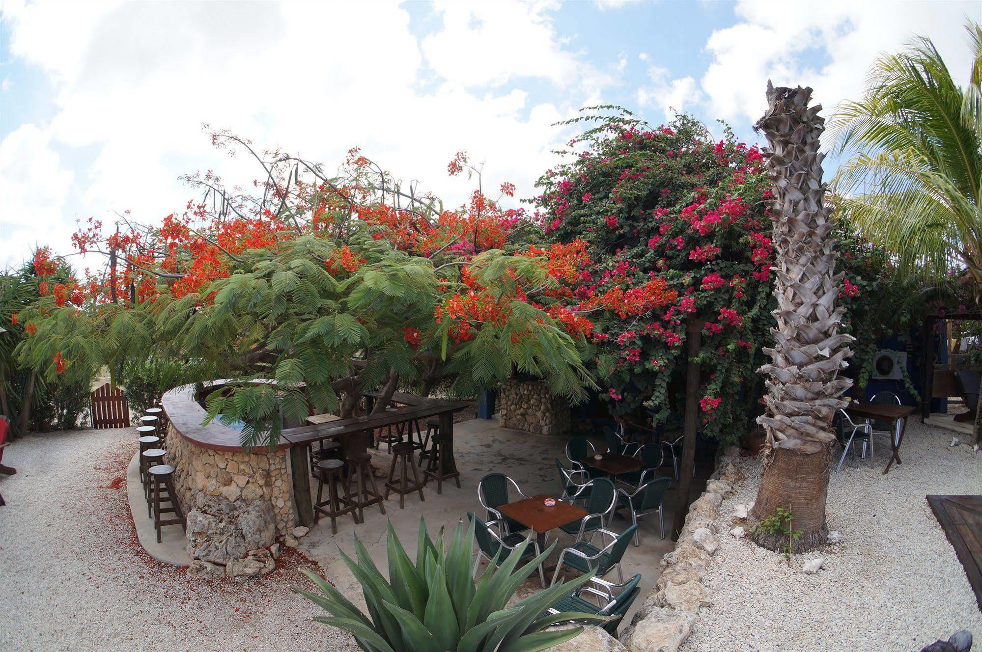 Caribbean Chillout Apartments Playa Buitenkant foto