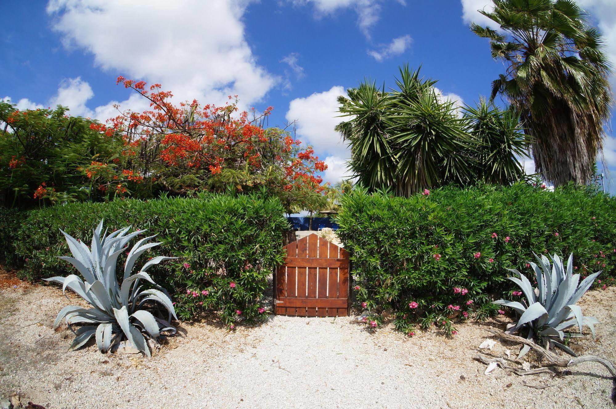 Caribbean Chillout Apartments Playa Buitenkant foto