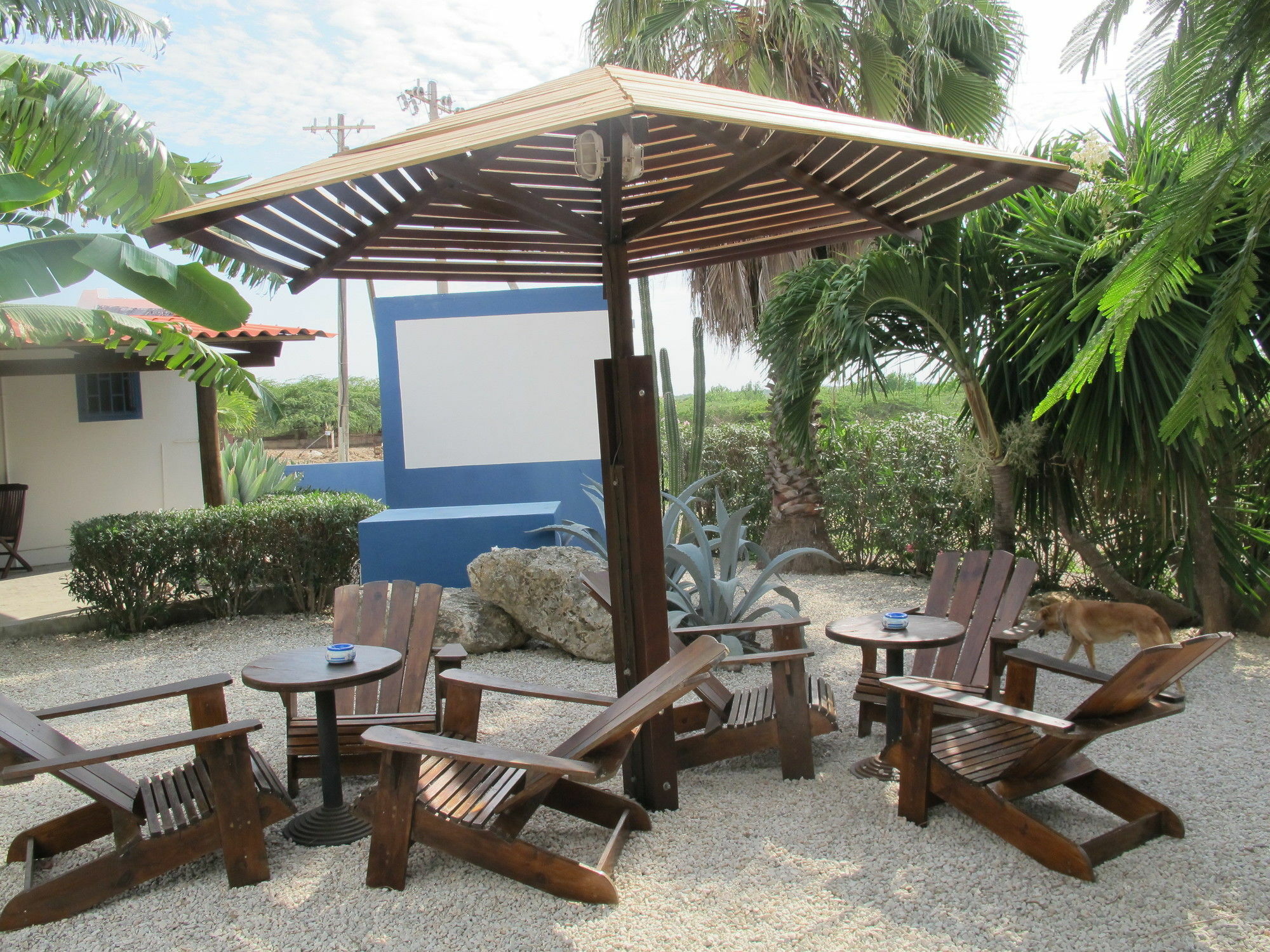 Caribbean Chillout Apartments Playa Buitenkant foto